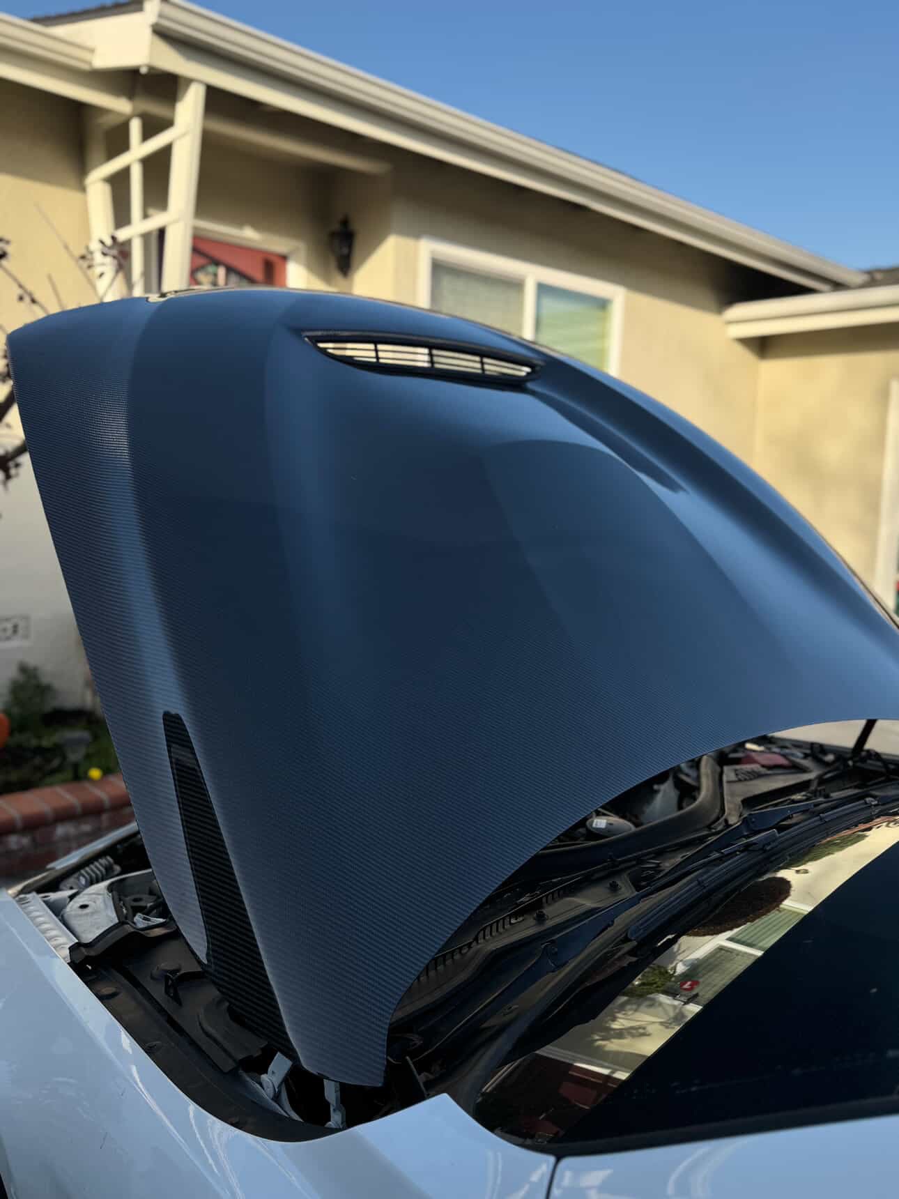 BMW F30 | F32 | F33 | F36 3-Series/4-Series GTS Style Carbon Hood