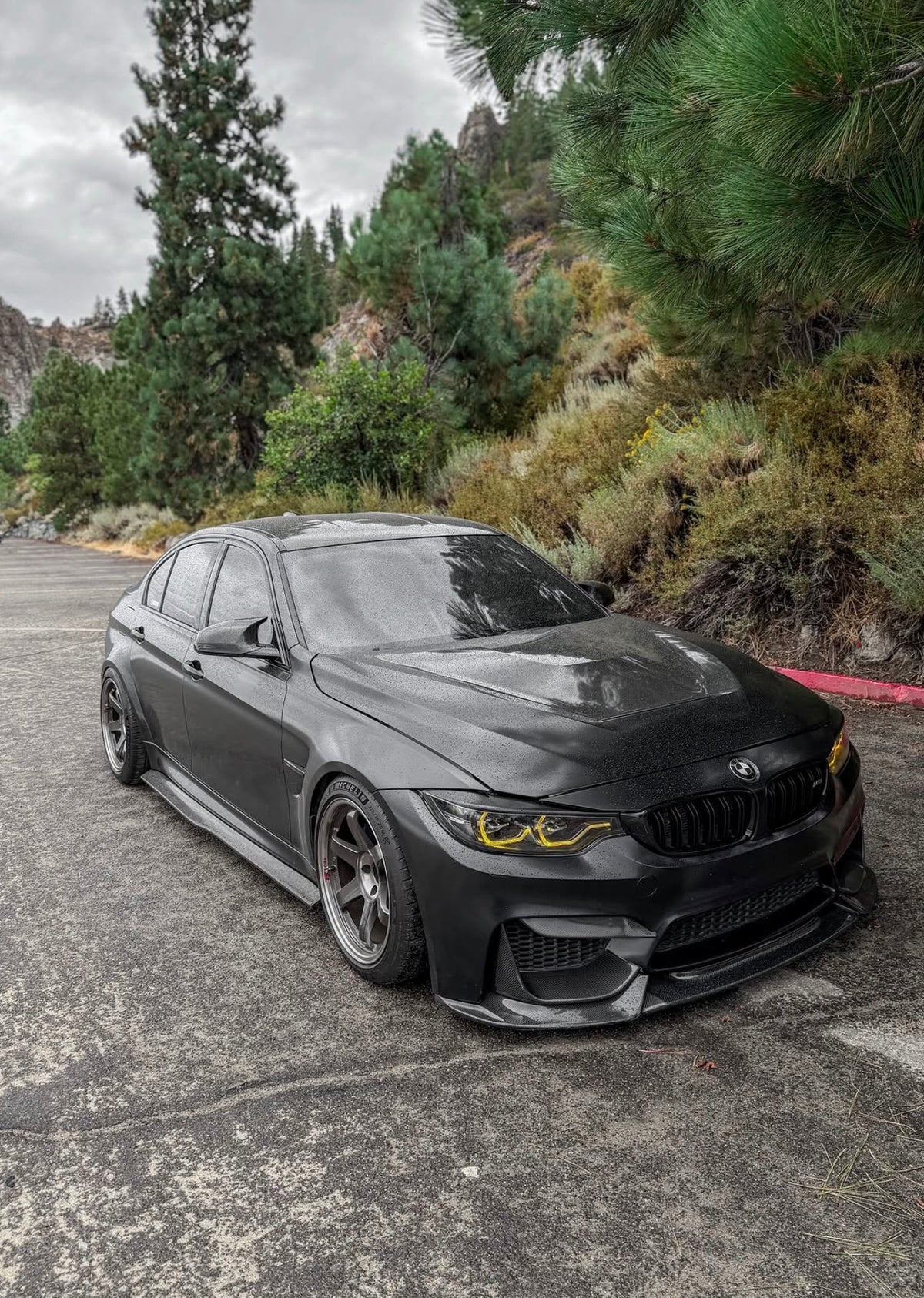 BMW F80 M3 PSM Style Full Carbon Fiber Side Skirts
